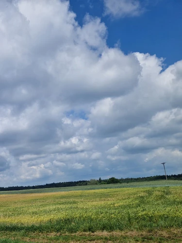 Natürlich angebaut