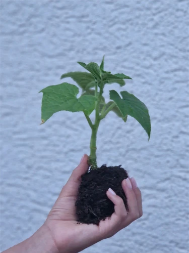 Natürlich nachhaltig